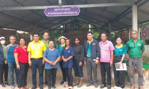 โครงการพัฒนาเกษตรกรรมยั่งยืน กิจกรรมเกษตรอินทรีย์